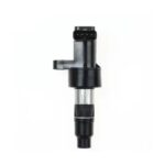 Ignition Coil C2S42673