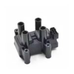 Ignition Coil F01R00A025