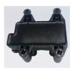 Ignition Coil F01R00A025
